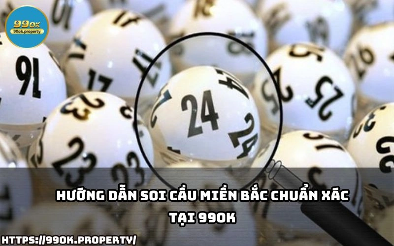 soi cau mien bac